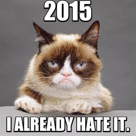 Happy New Year Grumpy Cat The Worlds Grumpiest Cat Grumpy Cat
