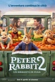 Locandina di Peter Rabbit 2: Un birbante in fuga: 504223 - Movieplayer.it