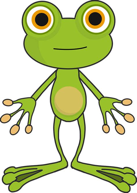 Frog Cartoon Toad · Free Vector Graphic On Pixabay