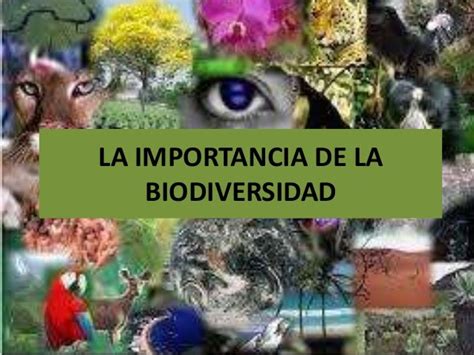 La Importancia De La Biodiversidad