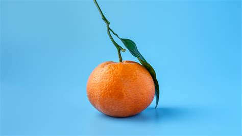 Download Wallpaper 1600x900 Tangerine Fruit Citrus Orange Blue