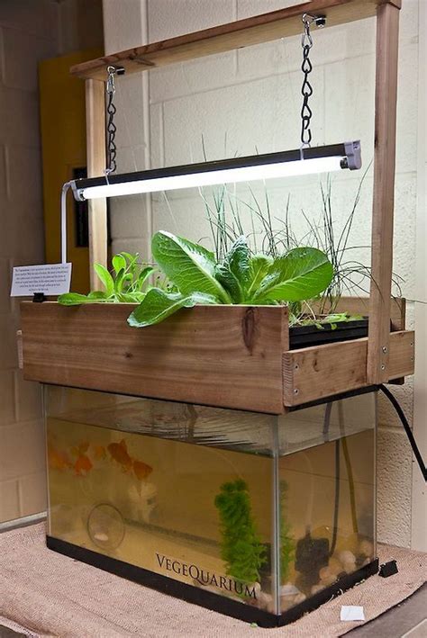 Get full detail guide on how to grow using hydroponics systems. 33 Best Hydroponic Gardening For Beginners Design Ideas ...