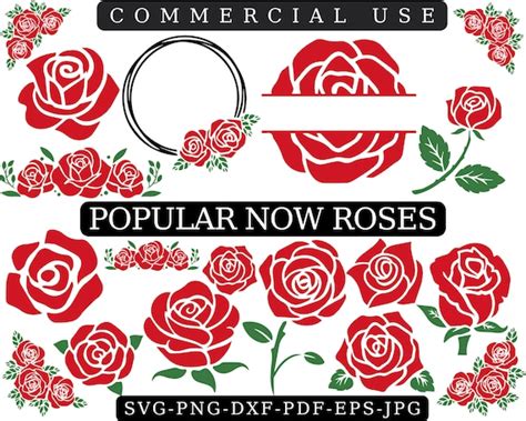 Rose Svg File Rose Svg Bundle Roses Svg Rose Clipart Etsy Australia