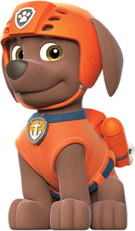 Paw Patrol Rocky Png Rocky Paw Patrol Characters Png Transparent Png