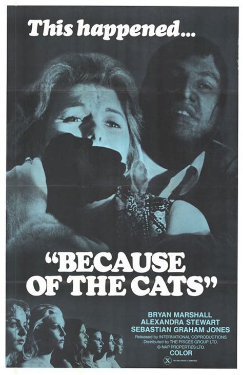 Because Of The Cats Movie Poster Imp Awards
