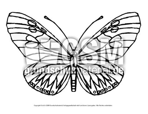 Pferde ausmalbilder und malvorlagen kostenlos ausdrucken und ausmalen. Ausmalbild-Schmetterling 5 - Ausmalbilder Schmetterling ...