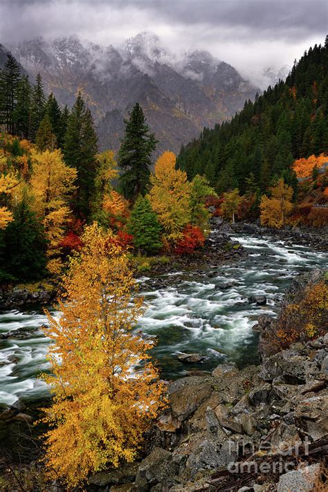 Autumn Foliage And Winter Snow Along Wenatchee River Near Leavenworth