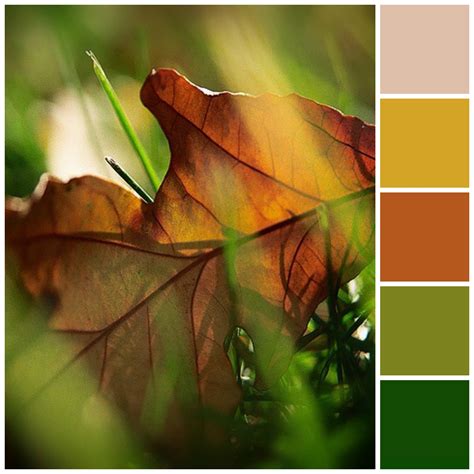 Fall Style Guide For Your Home Page 7
