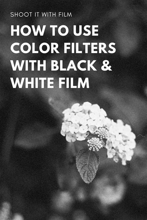 Using Color Filters With Black And White Film Shoot It With Film