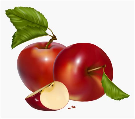 Transparent Apple Clip Art Clipart Of Red Apples Hd Png Download