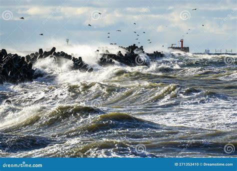 Coastal Storm In The Baltic Sea Big Waves Crash Against The Harbor