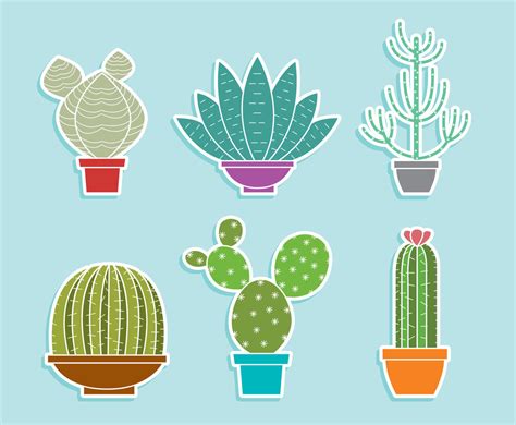 Cactus Collection Vector Vector Art And Graphics