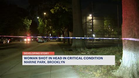 Police Woman In Critical Condition After Shooting Herself In The Head