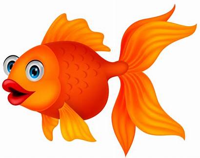 Ocean Fish Clipart Cartoon Transparent Animals мультяшные