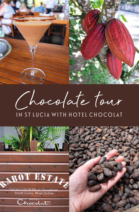 A St Lucia Chocolate Tour With Hotel Chocolat