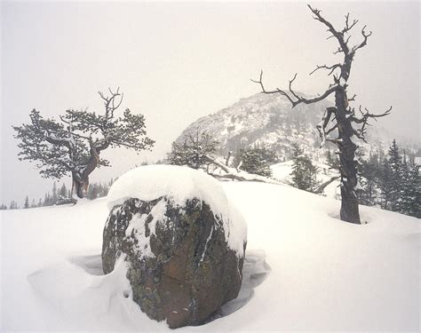 Rocky Mountain Winter Photograph By Mark Dornblaser Fine Art America