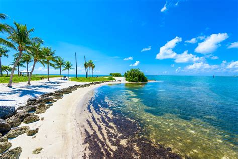 The 8 Best Beaches In The Florida Keys Lonely Planet