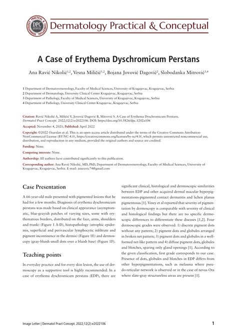 Pdf A Case Of Erythema Dyschromicum Perstans