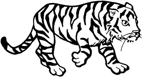 Tiger Coloring Page For Kids Photo Animal Place