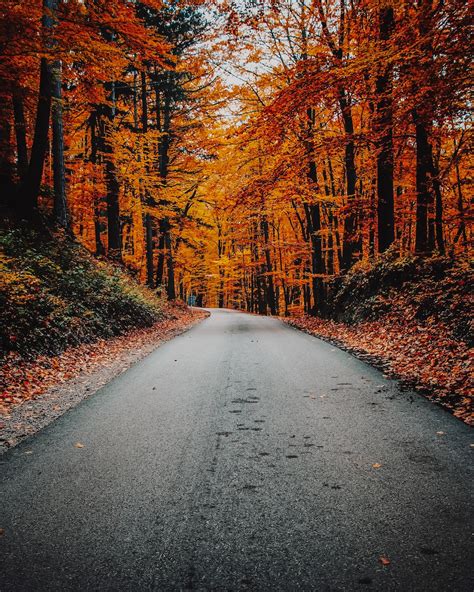 Autumn Roads Pictures Download Free Images On Unsplash