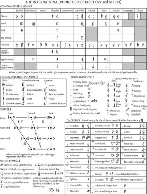 The International Phonetic Alphabet