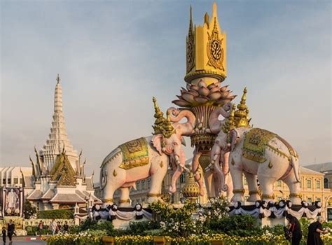 Những điều Thú Vị Về Loài Voi Biểu Tượng Của đất Nước Thái Lan Đại