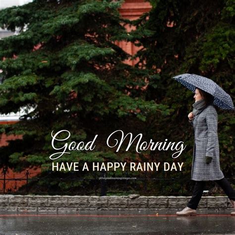 Best Rainy Good Morning Images Good Morning Images