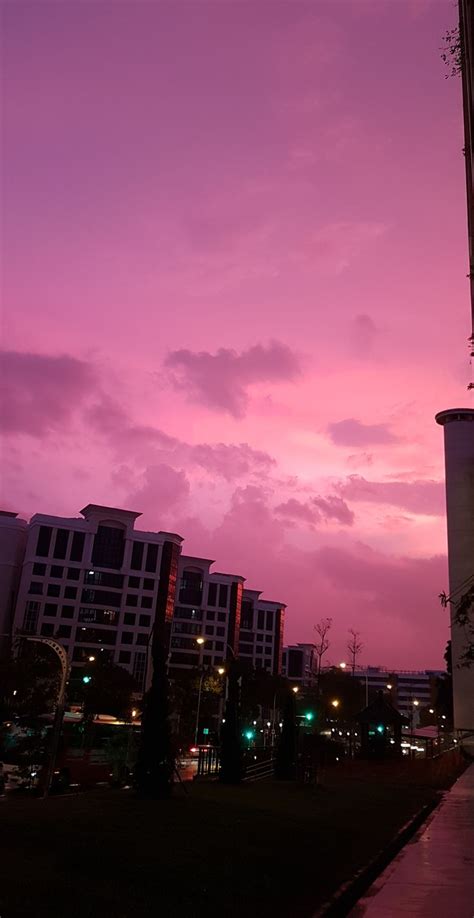 The Pink Sunset In Singapore Yesterday Aesthetic Pictures Photo