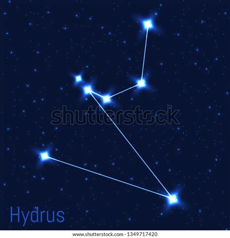 Vector Illustration Hydrus Constellation Astronomical Water Stock