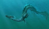 Leviatán | Monstruos Wiki | Fandom