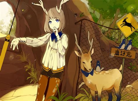Anime Deer ~ Nature Flora And Fauna Wallpapers Bochkwasuhk
