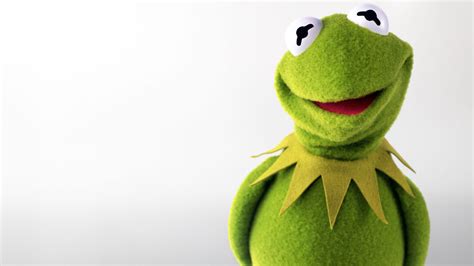 Kermit The Frogs Guide To Knowing Nothing The Black And