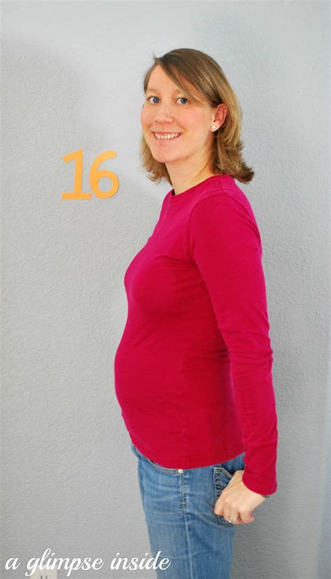 16 Weeks Pregnant The Maternity Gallery