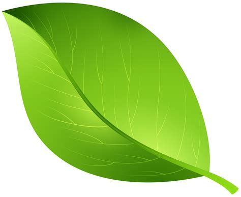 Green Leaves Background Png