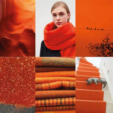 Autumn Winter 2223 Womens Colour Trendstiffany Hill Studio Color