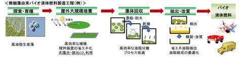 第10章 海洋バイオマス 102 微細藻類とバイオディーゼル油・バイオジェット燃料 Trien