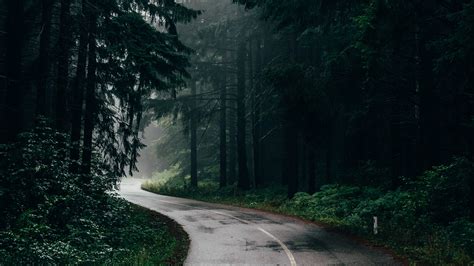 Forest Road 1920x1080 Wallpaper