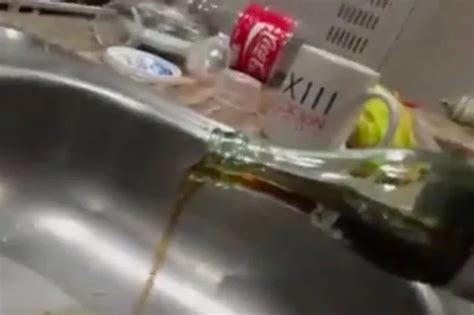 Man Claims To Find Dead Mouse Inside Bottle Of Diet Coke Mirror Online