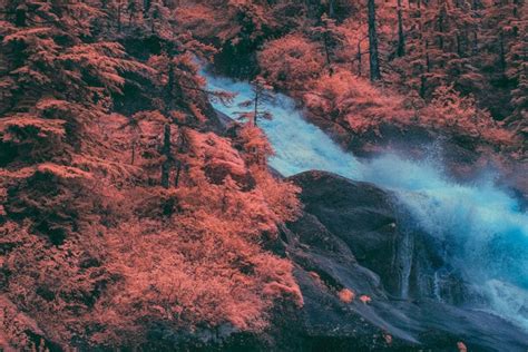 Mysterious Infrared Photography Transforms Alaskan Fjord Into Another