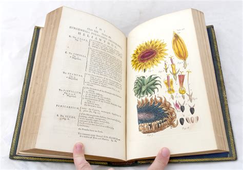 An Illustration Of The Sexual System Of Linnaeus Vols I And Ii By John