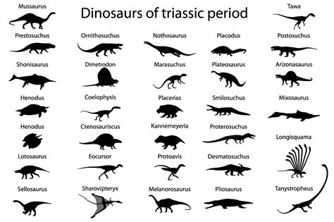 Mammals Jurassic Period Pets Lovers