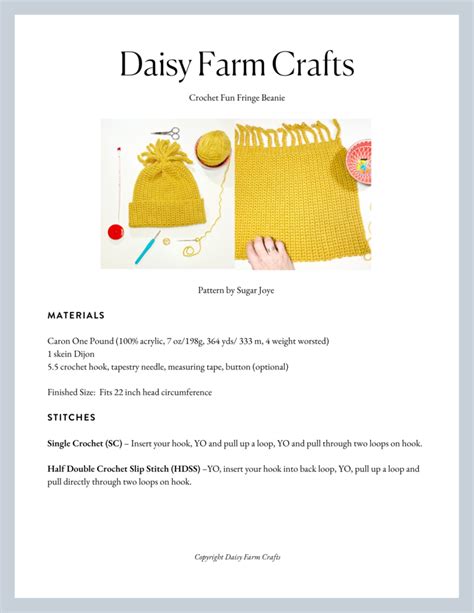 Crochet Fun Fringe Beanie Daisy Farm Crafts Beanie Hat Crochet