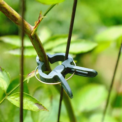 Plastic Plant Branch Clamp Support Fixing Clips Securing Plants To