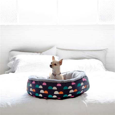 Happy Tails 55cm Bright Days Pet Bed Bunnings Australia