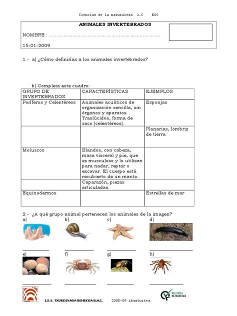 96644713 Examen Animales Invertebrados 4 Basicodoc Invertebrado