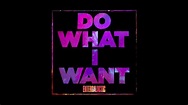 Kid Cudi - Do What I Want (Official Audio) - YouTube