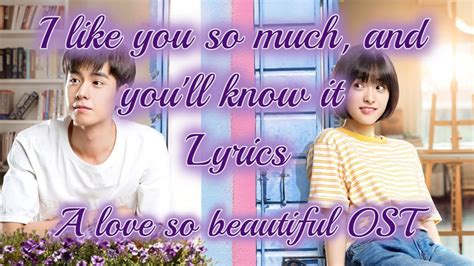A Love So Beautiful Ost I Like You So Much And Youll Know It Lyrics