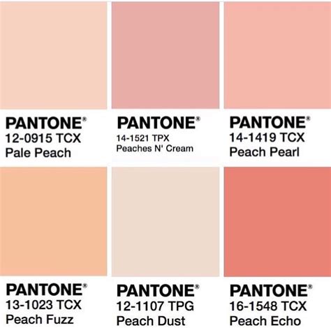 Pin By Paige Helliar On Insta Peach Fuzz Pantone Color Chart