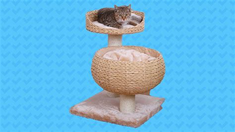 Cat Tree Save On Feline Friendly Furniture At Petsmart