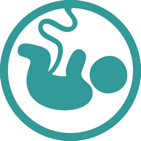 Collection Of Baby In Womb Png Pluspng